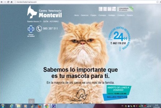 www.montevilveterinarios.com