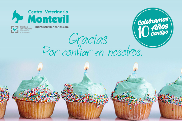 Décimo aniversario Centro Veterinario Montevil
